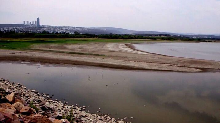 David Prado: La primavera más fría del resto de nuestras vidas: olas de calor y la necesidad urgente de reforestar León